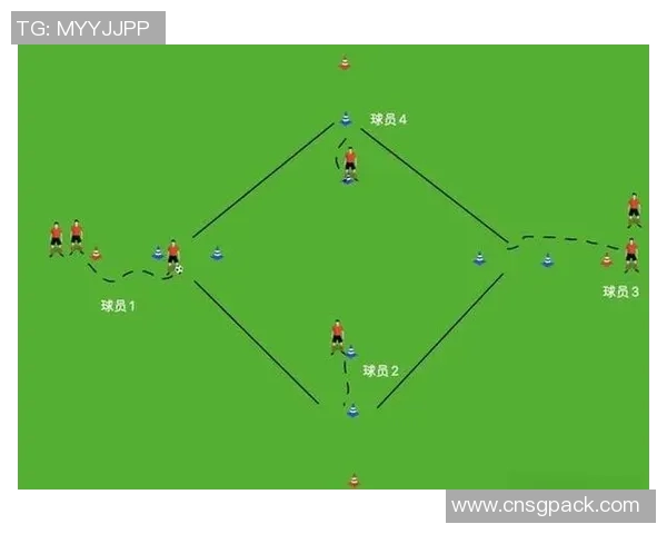杭州足球队的战术解析与控球策略深度剖析