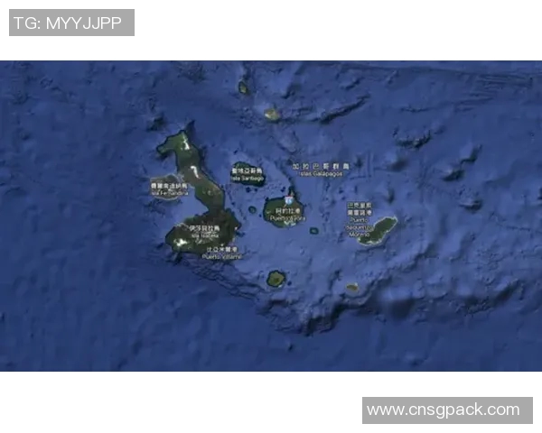 巴拿马与百慕大群的对决分析与精彩瞬间回顾