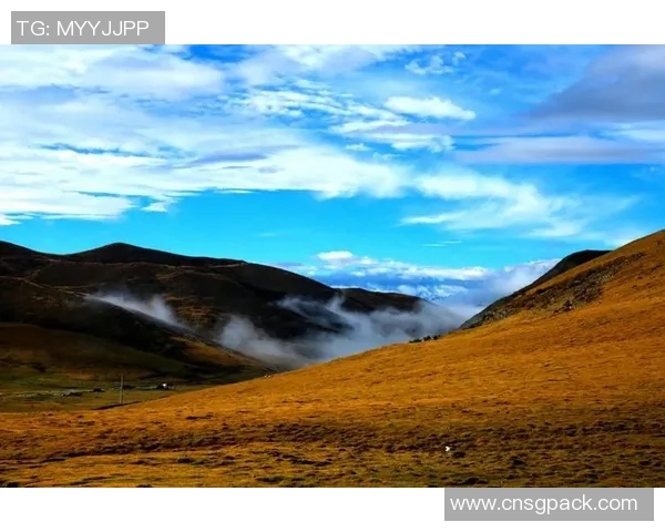 李泓澎的艺术旅程与人生哲学探索：从创作到心灵的深度对话